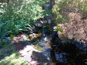 Espace EFEO - Fontaine de bassin