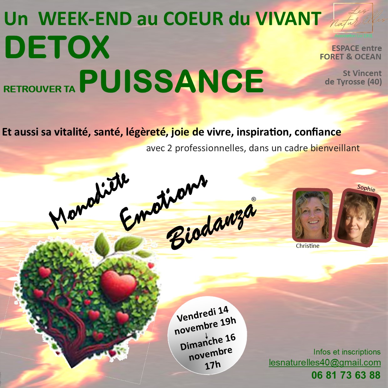 Flyer detox 1 Espace EFEO - Stage détox monodiète biodanza yoga méditations